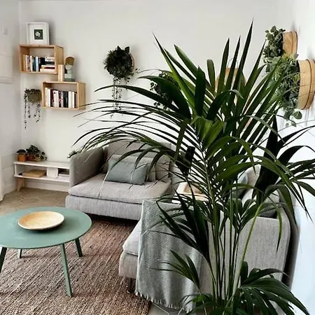 Apartment Lovely Casita Jade *